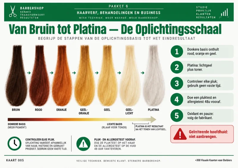 Visuele kaart 261, Van Bruin Tot Platina: De Ontkleuringsschaal